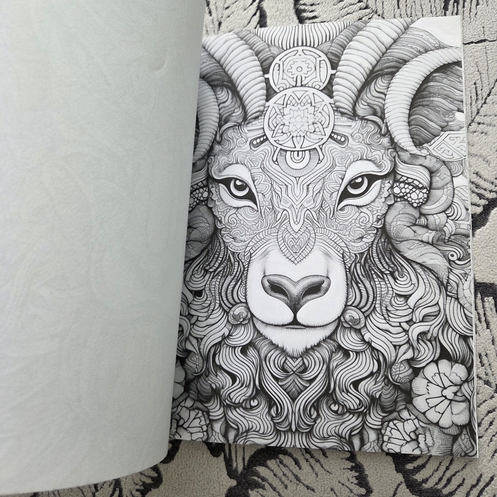 Enchanted Animals Coloring Cook - Picture 15 of 16